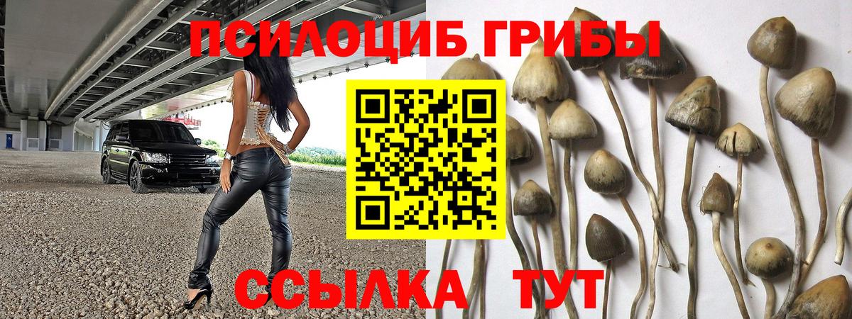 Псилоцибиновые грибы MAGIC MUSHROOMS Воронеж