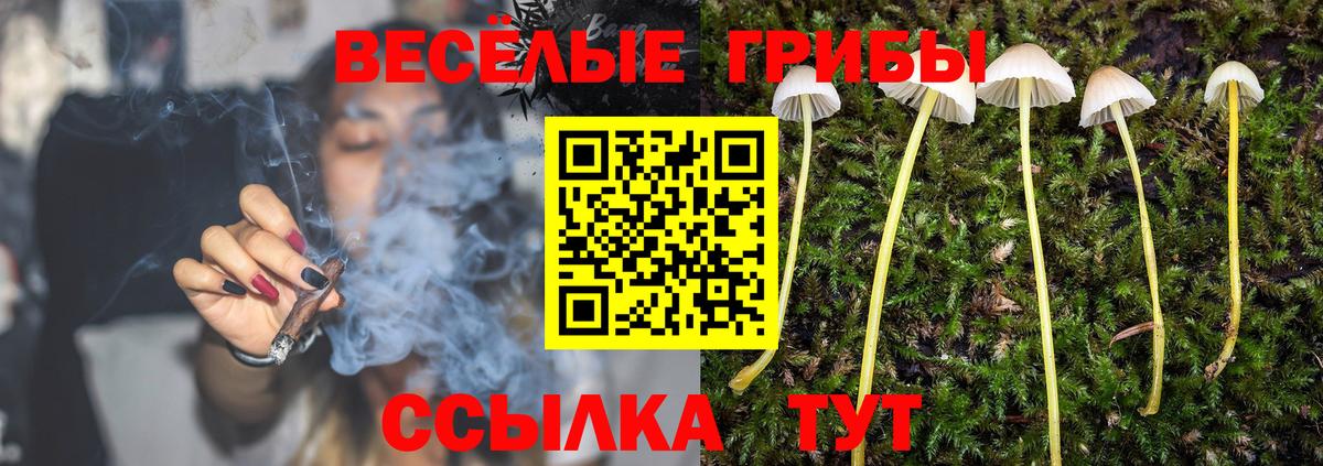 Псилоцибиновые грибы MAGIC MUSHROOMS  цена наркотик  Воронеж  Вход с VPN 